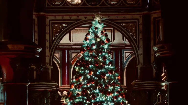 Christmas Steaming Day 2026